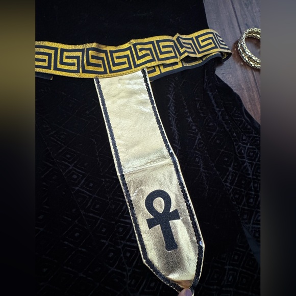Spirit Black and Gold Exquisite Cleopatra Costume + Extras - Picture 3 of 6